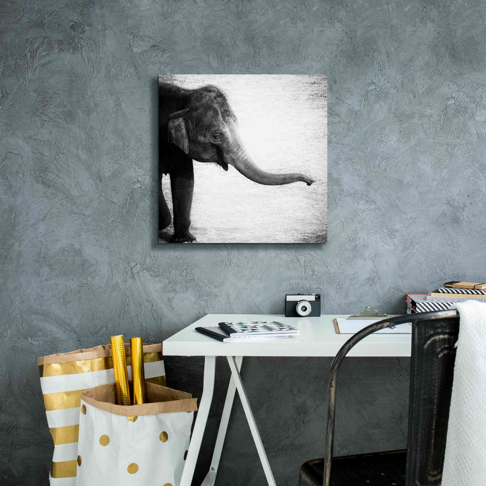 'Elephant II' by Debra Van Swearingen, Canvas Wall Art,18 x 18