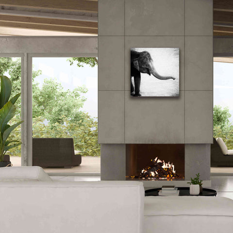 Image of 'Elephant II' by Debra Van Swearingen, Canvas Wall Art,26 x 26