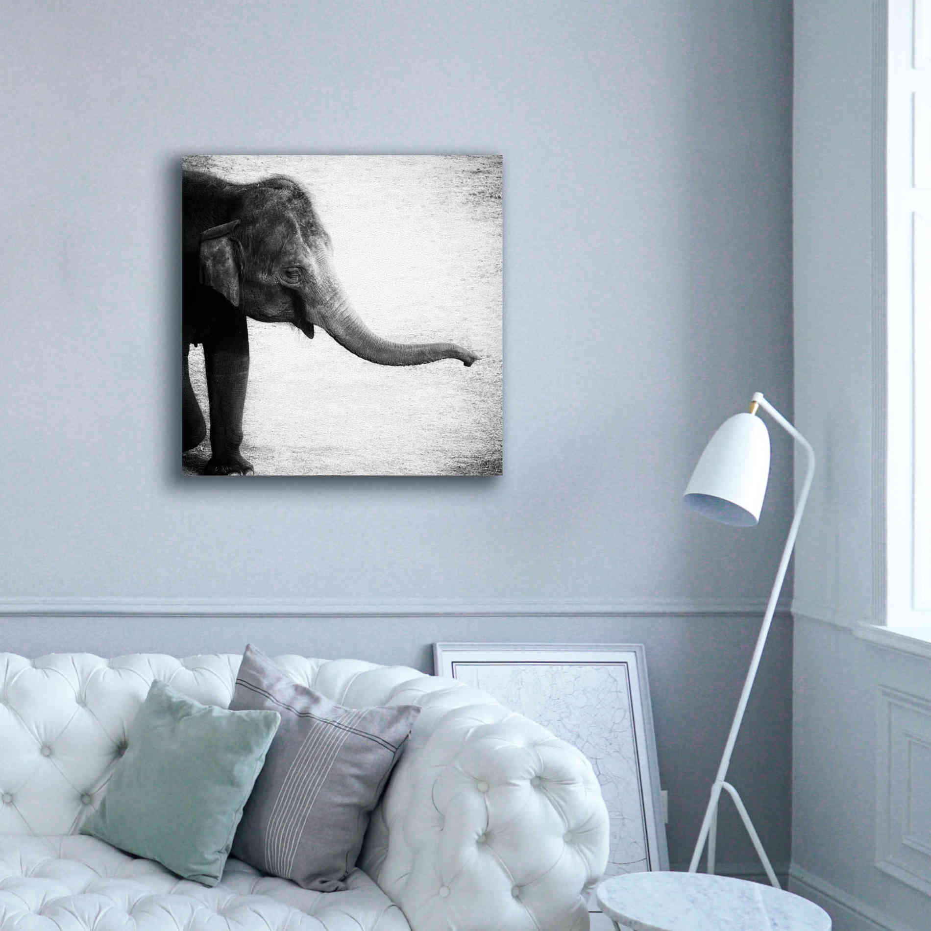 'Elephant II' by Debra Van Swearingen, Canvas Wall Art,37 x 37