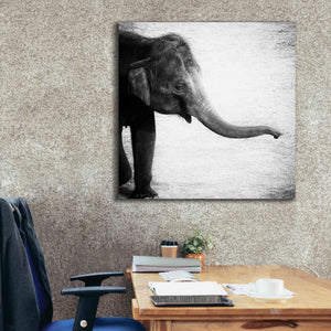 'Elephant II' by Debra Van Swearingen, Canvas Wall Art,37 x 37