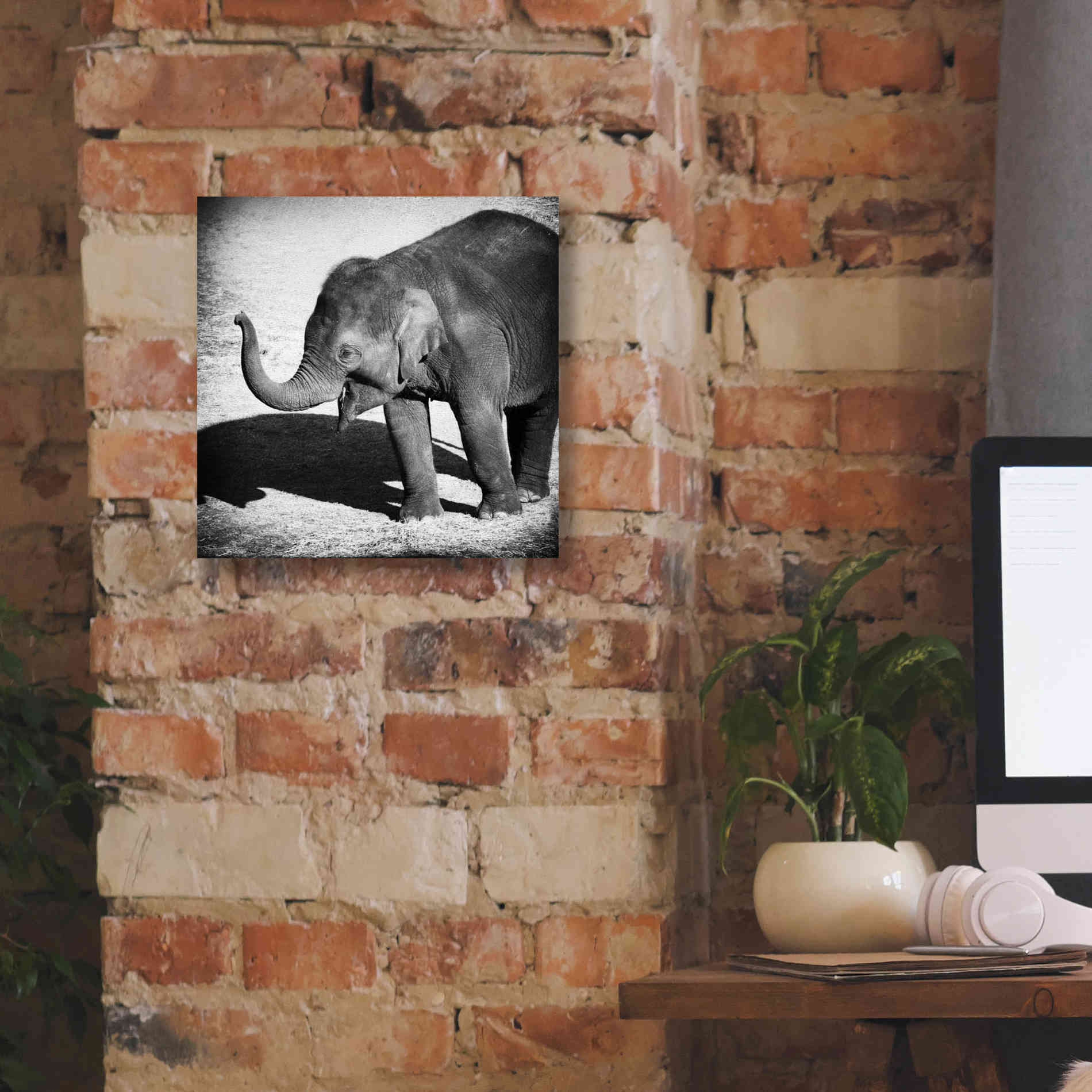 'Elephant IV' by Debra Van Swearingen, Canvas Wall Art,12 x 12