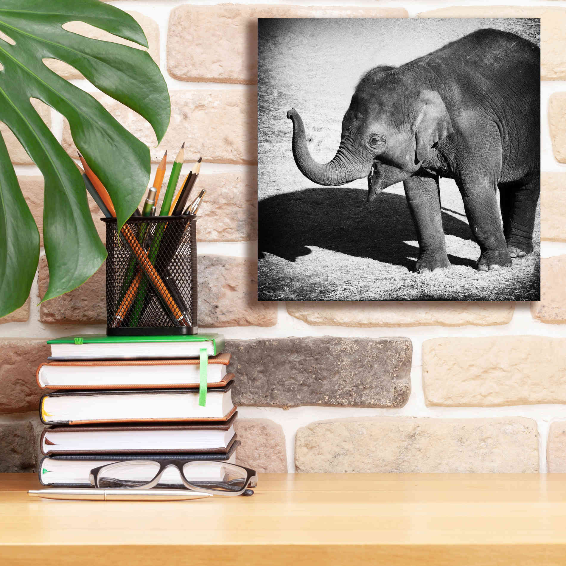 'Elephant IV' by Debra Van Swearingen, Canvas Wall Art,12 x 12