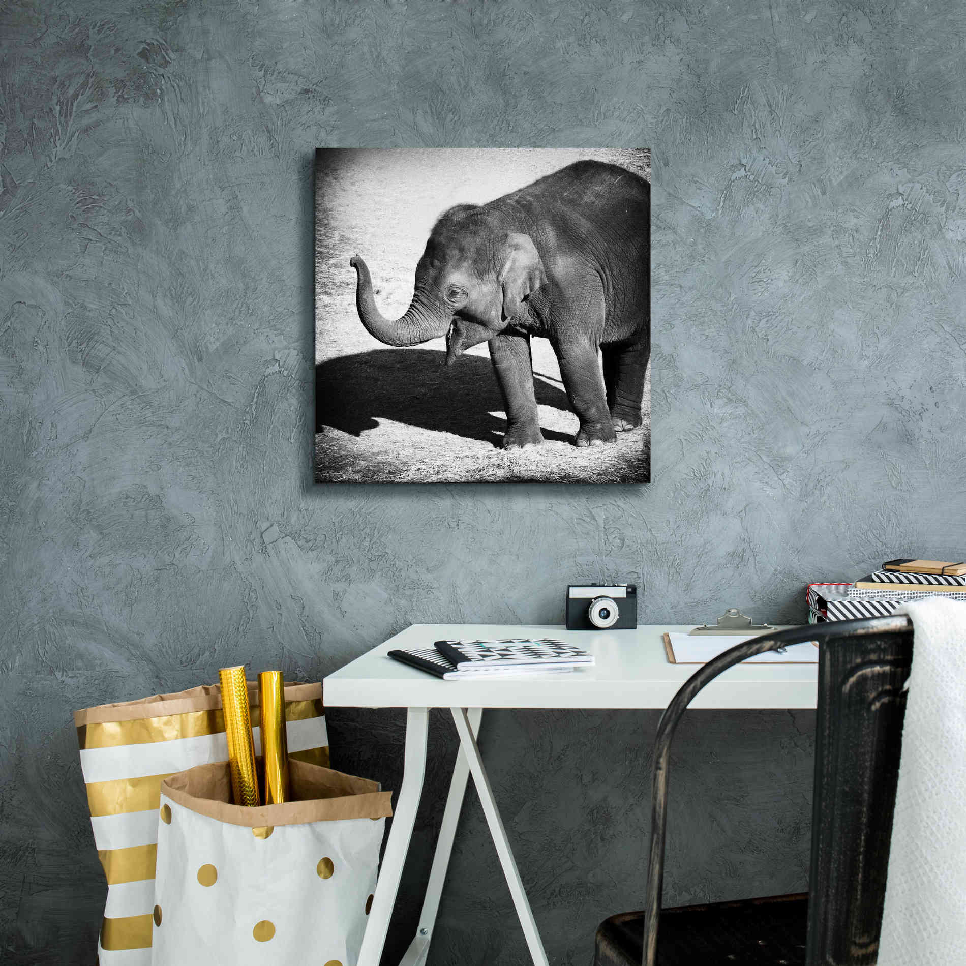 'Elephant IV' by Debra Van Swearingen, Canvas Wall Art,18 x 18