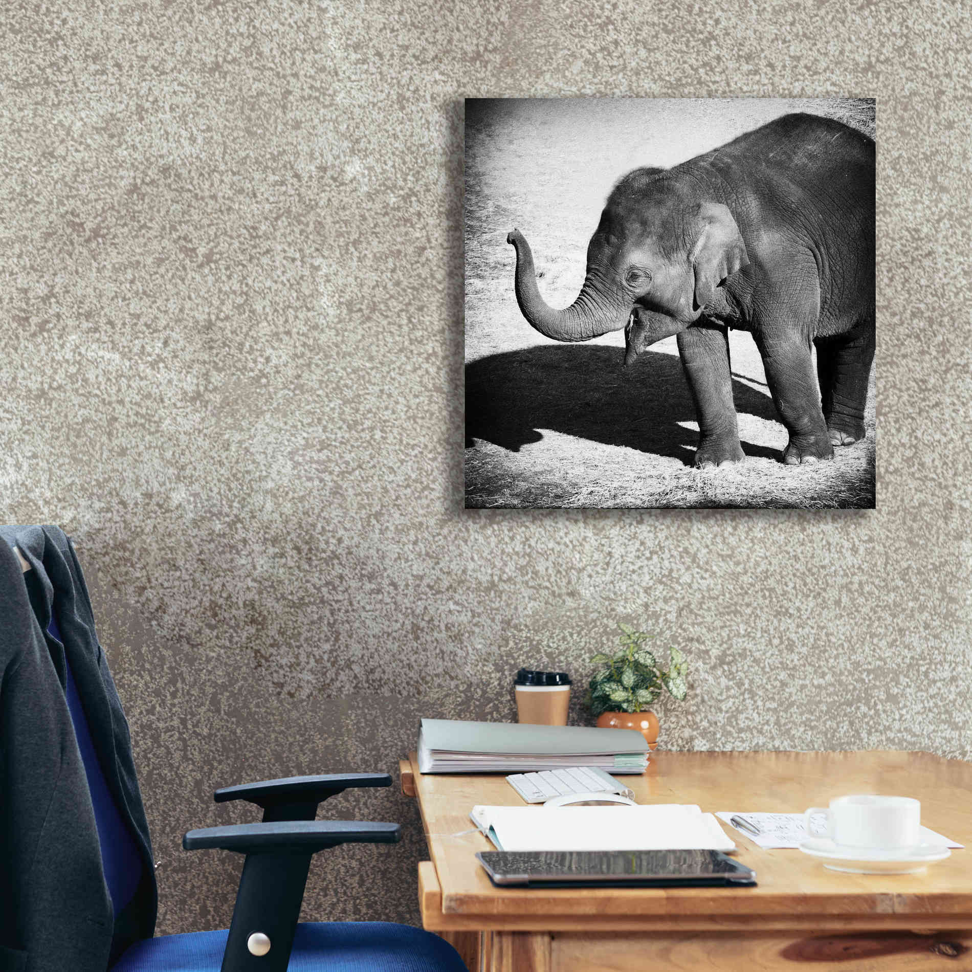 'Elephant IV' by Debra Van Swearingen, Canvas Wall Art,26 x 26