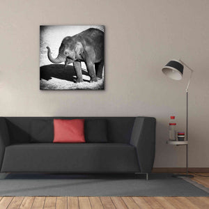 'Elephant IV' by Debra Van Swearingen, Canvas Wall Art,37 x 37