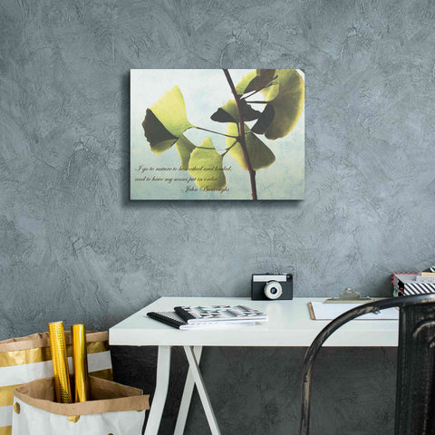 Image of 'Delicate Ginkgo' by Debra Van Swearingen, Canvas Wall Art,16 x 12