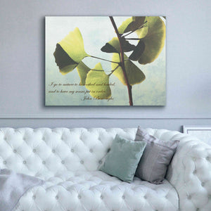 'Delicate Ginkgo' by Debra Van Swearingen, Canvas Wall Art,54 x 40
