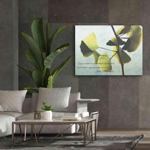 'Delicate Ginkgo' by Debra Van Swearingen, Canvas Wall Art,54 x 40
