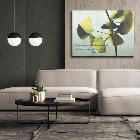 Image of 'Delicate Ginkgo' by Debra Van Swearingen, Canvas Wall Art,54 x 40