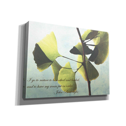 Image of 'Delicate Ginkgo' by Debra Van Swearingen, Canvas Wall Art,16x12x1.1x0,26x18x1.1x0,34x26x1.74x0,54x40x1.74x0