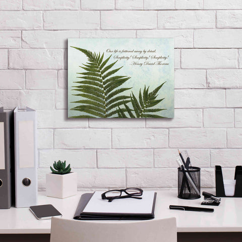 Image of 'Delicate Fern' by Debra Van Swearingen, Canvas Wall Art,16 x 12