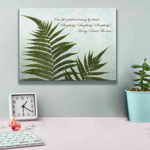 'Delicate Fern' by Debra Van Swearingen, Canvas Wall Art,16 x 12