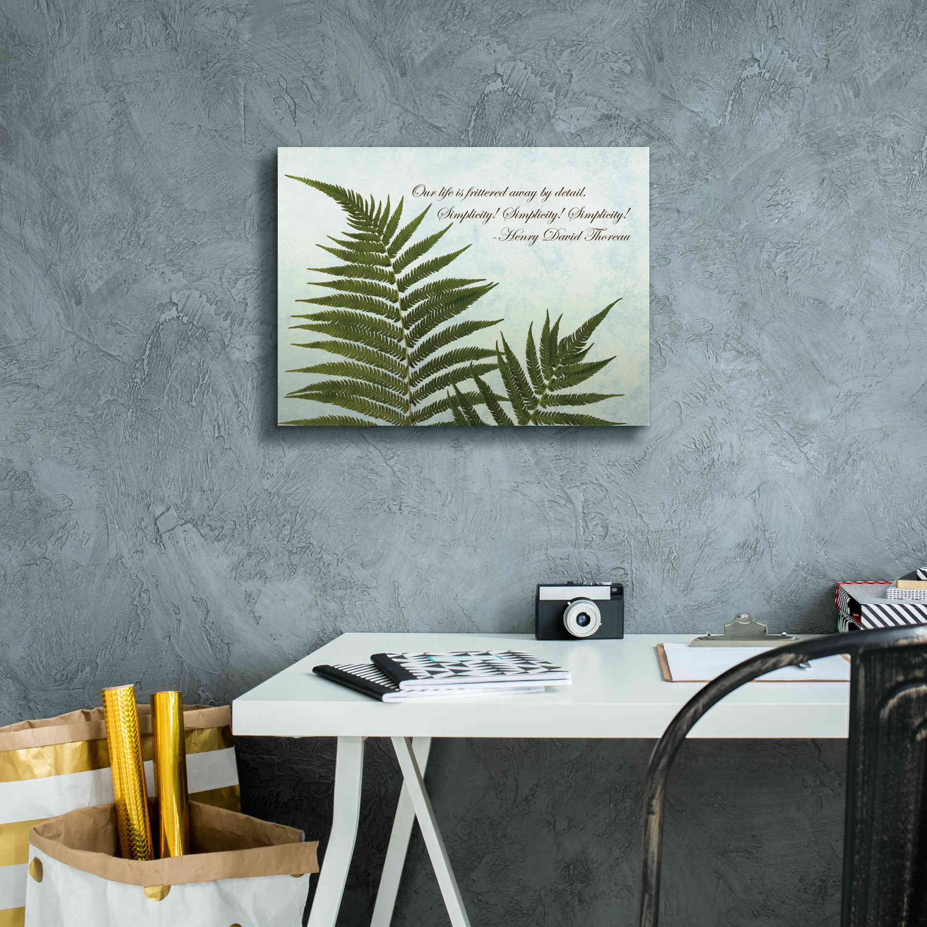 'Delicate Fern' by Debra Van Swearingen, Canvas Wall Art,16 x 12