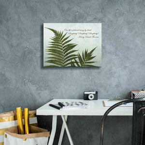 'Delicate Fern' by Debra Van Swearingen, Canvas Wall Art,16 x 12