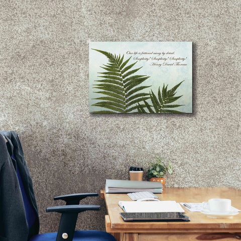 Image of 'Delicate Fern' by Debra Van Swearingen, Canvas Wall Art,24 x 20