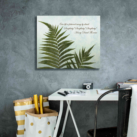 Image of 'Delicate Fern' by Debra Van Swearingen, Canvas Wall Art,24 x 20
