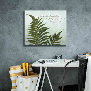'Delicate Fern' by Debra Van Swearingen, Canvas Wall Art,24 x 20