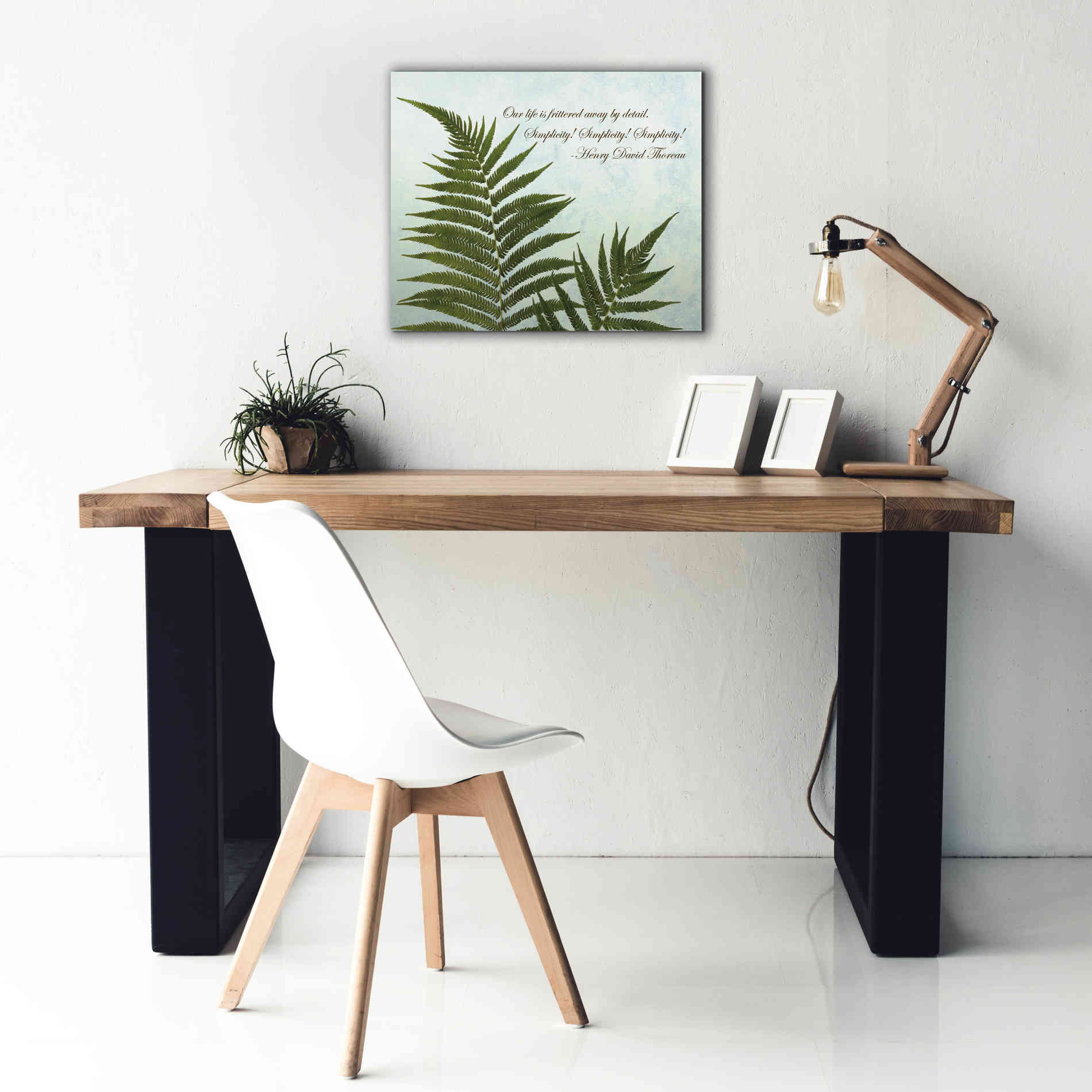 'Delicate Fern' by Debra Van Swearingen, Canvas Wall Art,24 x 20
