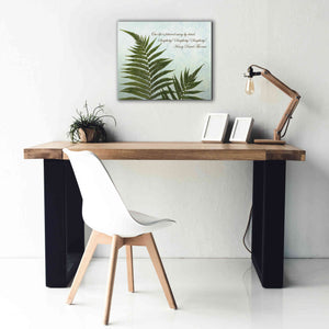 'Delicate Fern' by Debra Van Swearingen, Canvas Wall Art,24 x 20