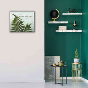 'Delicate Fern' by Debra Van Swearingen, Canvas Wall Art,24 x 20
