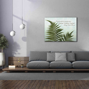 'Delicate Fern' by Debra Van Swearingen, Canvas Wall Art,54 x 40
