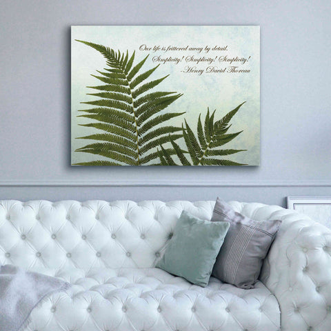 Image of 'Delicate Fern' by Debra Van Swearingen, Canvas Wall Art,54 x 40