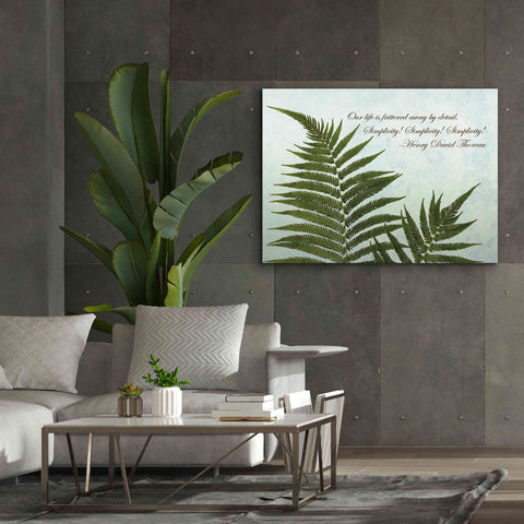 Image of 'Delicate Fern' by Debra Van Swearingen, Canvas Wall Art,54 x 40