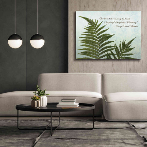 Image of 'Delicate Fern' by Debra Van Swearingen, Canvas Wall Art,54 x 40