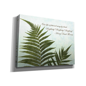 'Delicate Fern' by Debra Van Swearingen, Canvas Wall Art,16x12x1.1x0,24x20x1.1x0,30x26x1.74x0,54x40x1.74x0