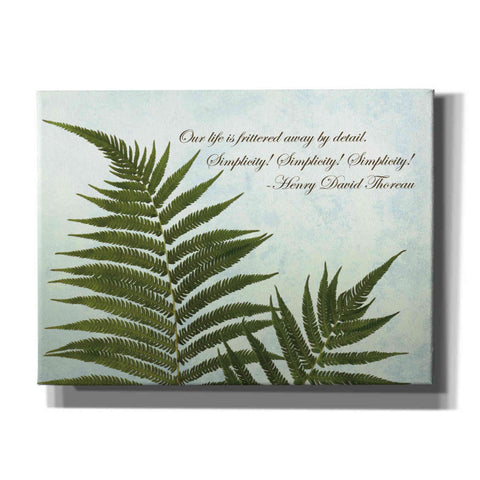 Image of 'Delicate Fern' by Debra Van Swearingen, Canvas Wall Art,16x12x1.1x0,24x20x1.1x0,30x26x1.74x0,54x40x1.74x0