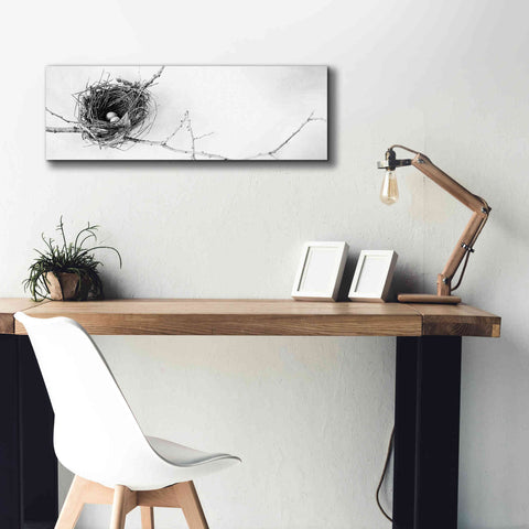 Image of 'Nest and Branch I Pano' by Debra Van Swearingen, Canvas Wall Art,36 x 12