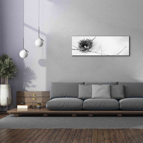 Image of 'Nest and Branch I Pano' by Debra Van Swearingen, Canvas Wall Art,60 x 20