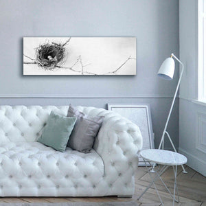 'Nest and Branch I Pano' by Debra Van Swearingen, Canvas Wall Art,60 x 20