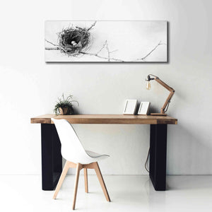 'Nest and Branch I Pano' by Debra Van Swearingen, Canvas Wall Art,60 x 20