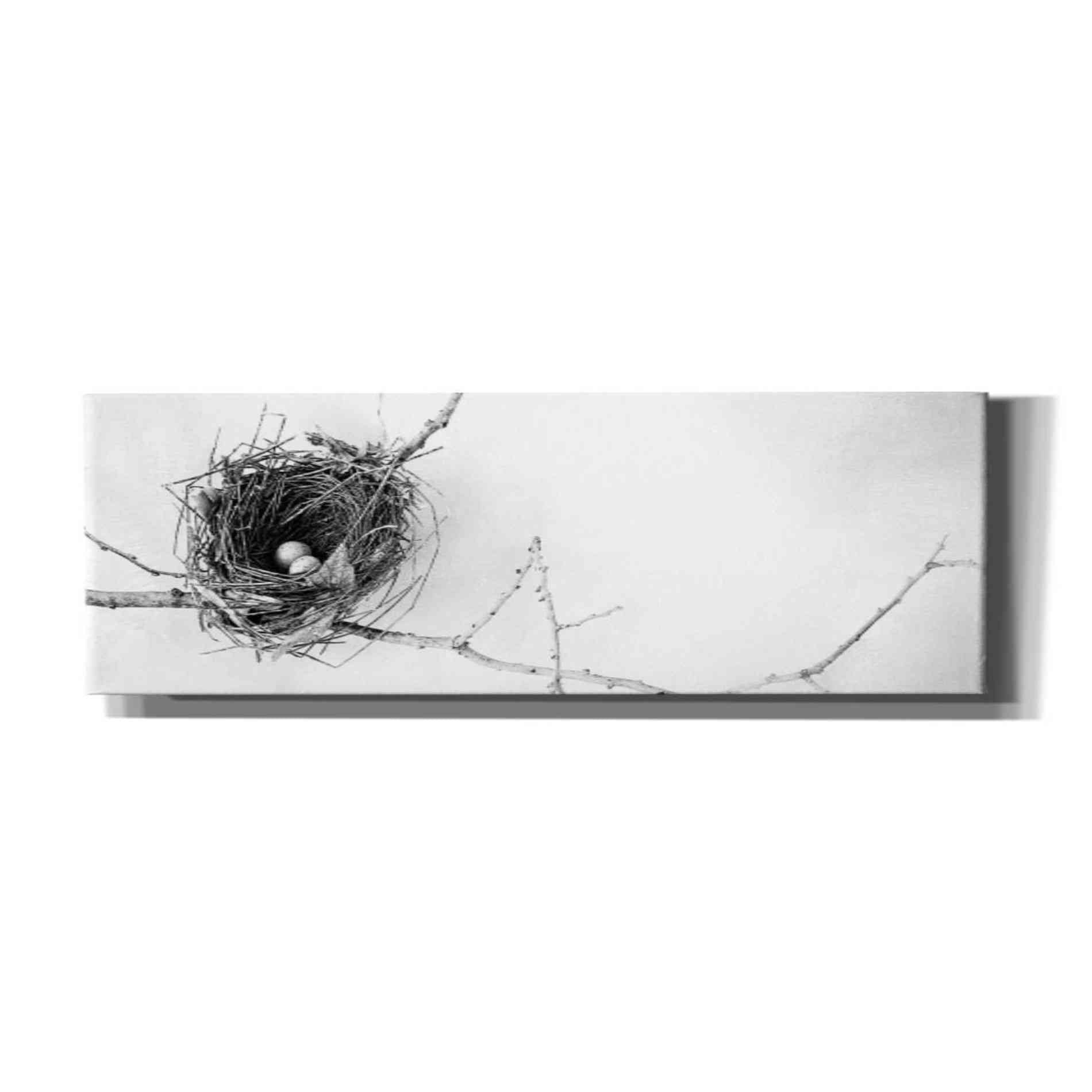'Nest and Branch I Pano' by Debra Van Swearingen, Canvas Wall Art,36x12x1.74x0,60x20x1.74x0
