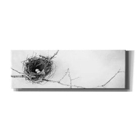 'Nest and Branch I Pano' by Debra Van Swearingen, Canvas Wall Art,36x12x1.74x0,60x20x1.74x0