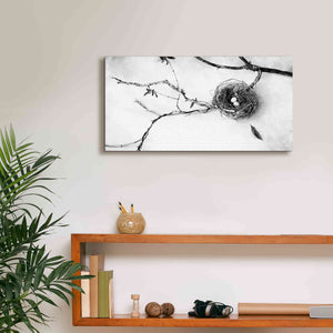 'Nest and Branch II' by Debra Van Swearingen, Canvas Wall Art,24 x 12
