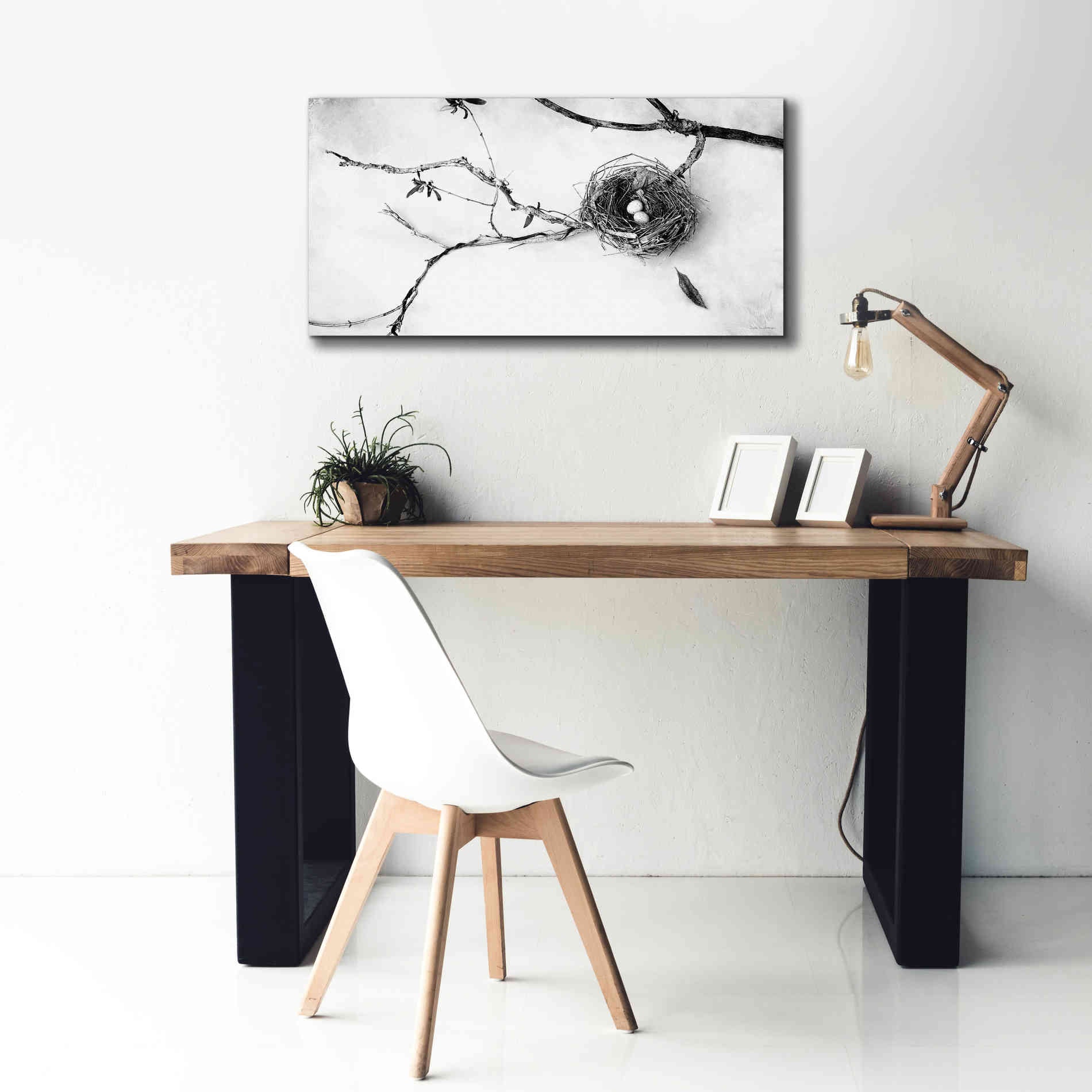'Nest and Branch II' by Debra Van Swearingen, Canvas Wall Art,40 x 20