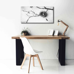 'Nest and Branch II' by Debra Van Swearingen, Canvas Wall Art,40 x 20