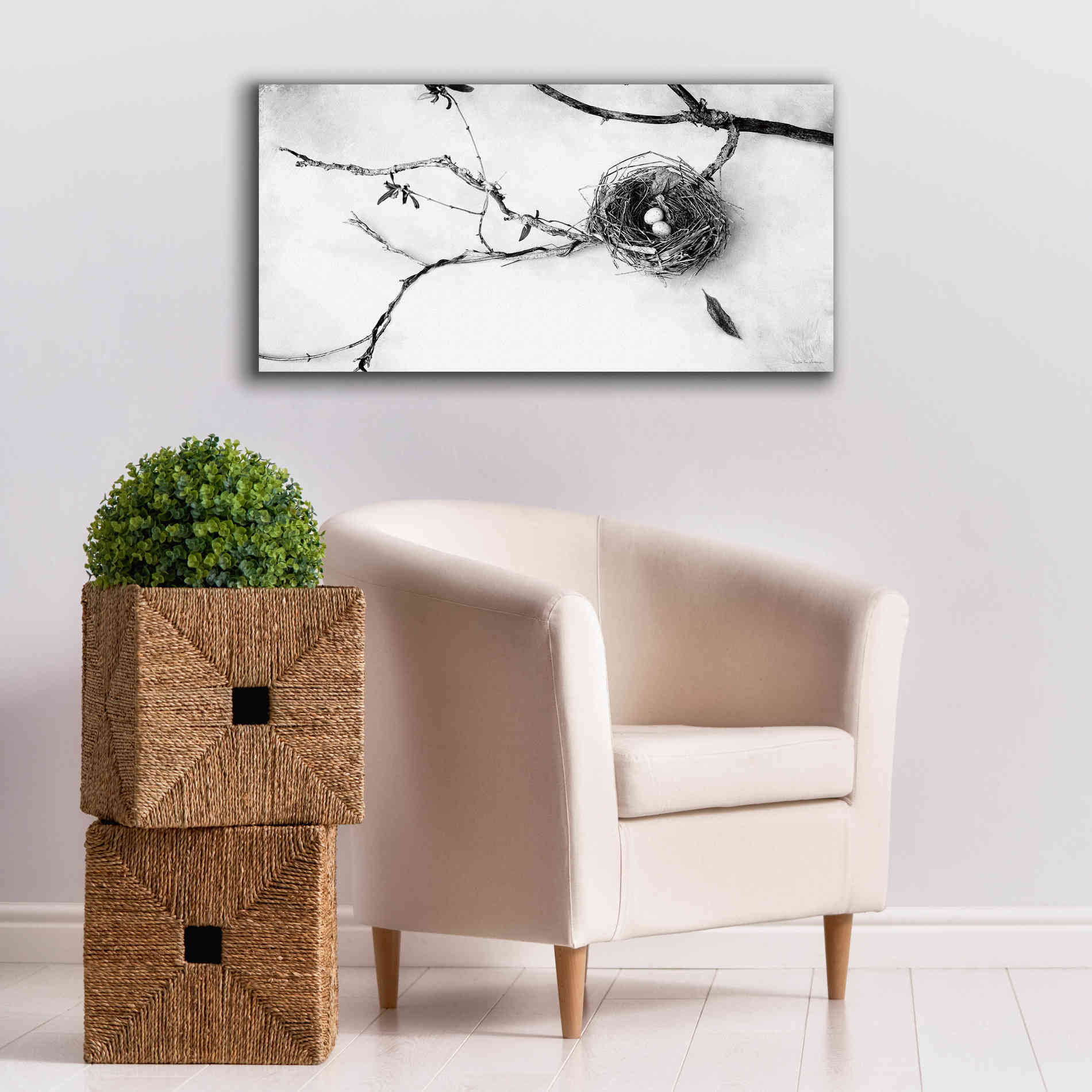 'Nest and Branch II' by Debra Van Swearingen, Canvas Wall Art,40 x 20