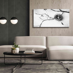 'Nest and Branch II' by Debra Van Swearingen, Canvas Wall Art,60 x 30