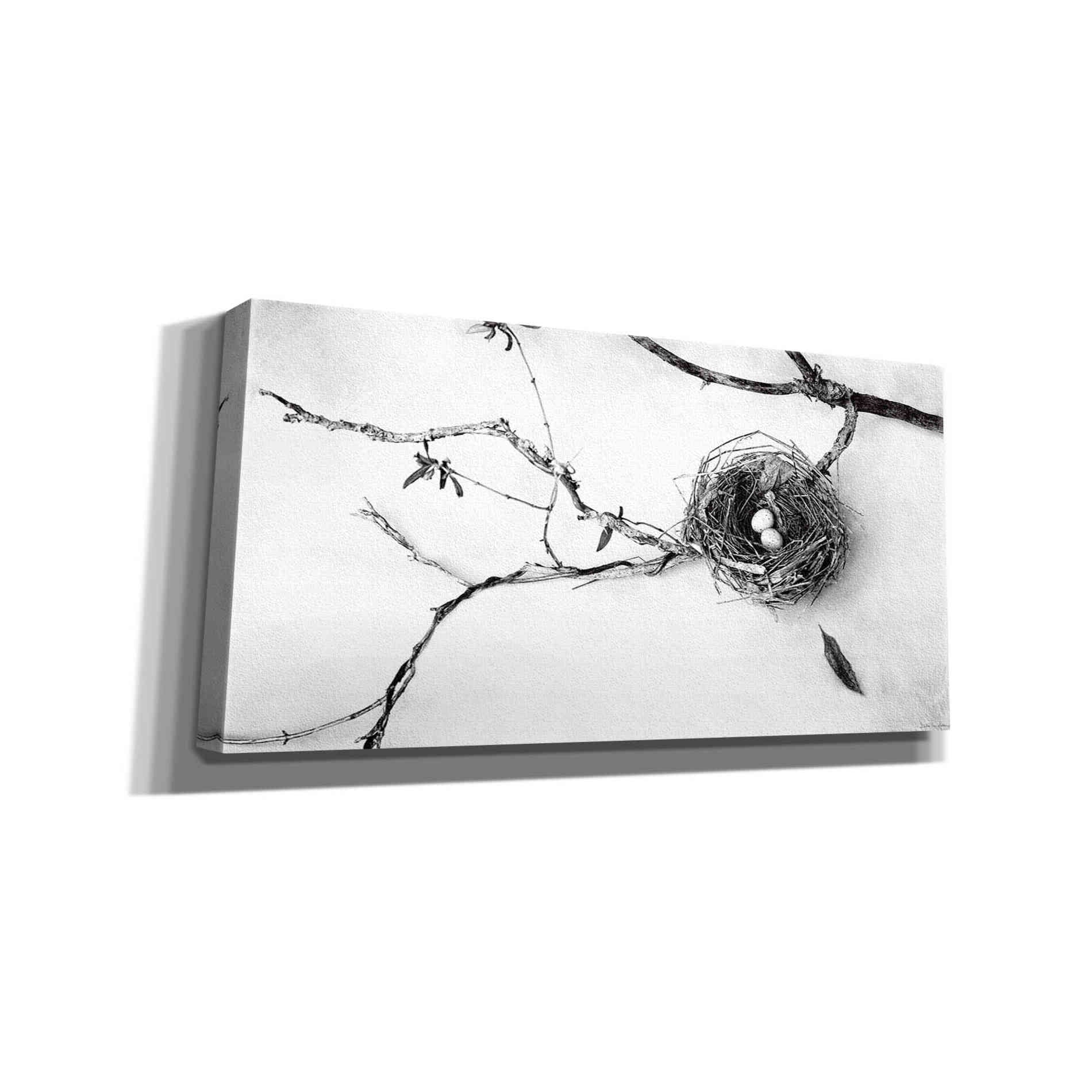'Nest and Branch II' by Debra Van Swearingen, Canvas Wall Art,24x12x1.1x0,40x20x1.74x0,60x30x1.74x0
