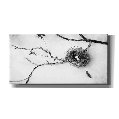 Image of 'Nest and Branch II' by Debra Van Swearingen, Canvas Wall Art,24x12x1.1x0,40x20x1.74x0,60x30x1.74x0
