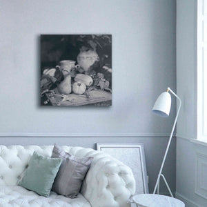 'Quince Pear' by Debra Van Swearingen, Canvas Wall Art,37 x 37