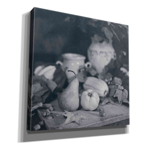 Image of 'Quince Pear' by Debra Van Swearingen, Canvas Wall Art,12x12x1.1x0,18x18x1.1x0,26x26x1.74x0,37x37x1.74x0