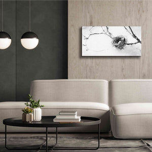 'Nest and Branch III' by Debra Van Swearingen, Canvas Wall Art,40 x 20