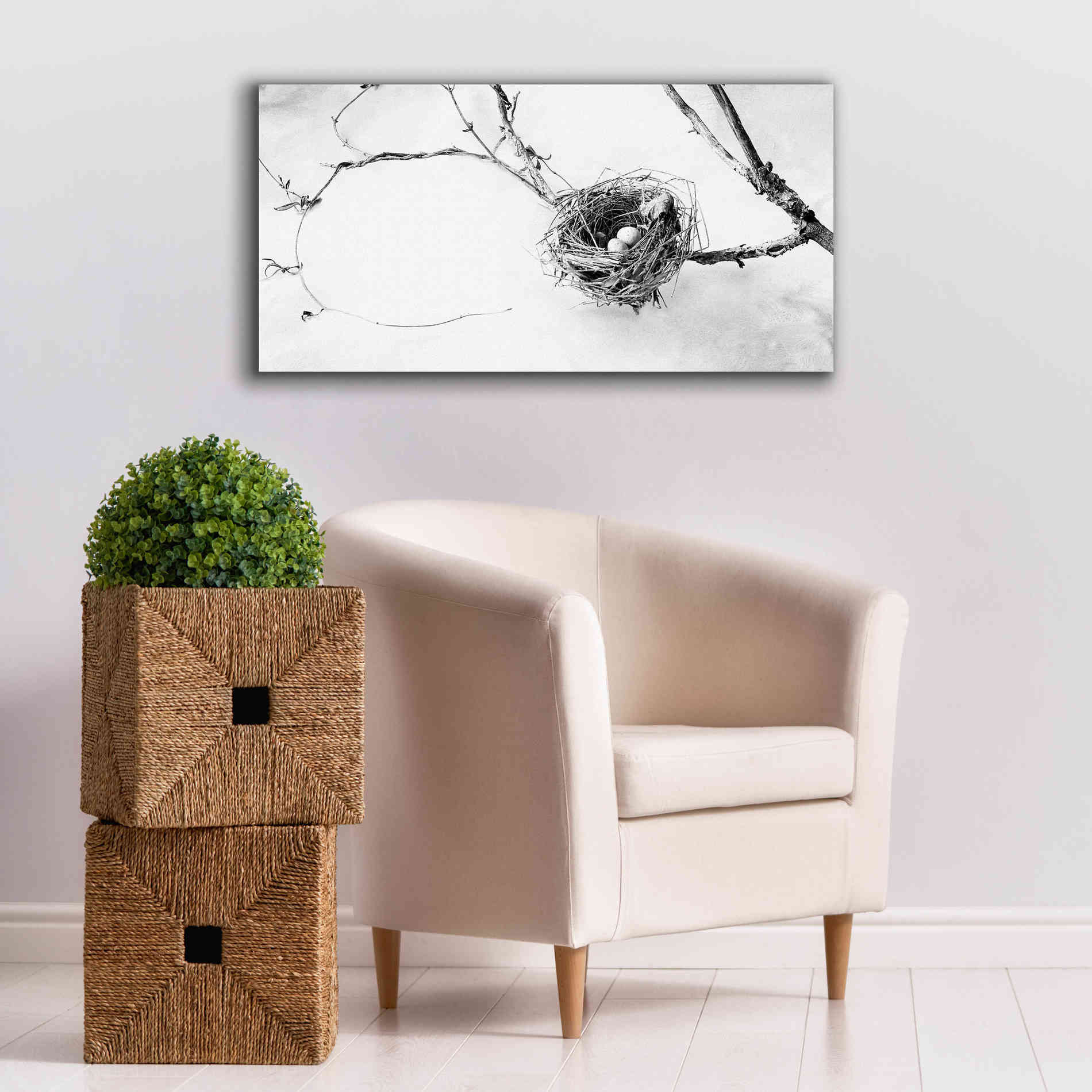 'Nest and Branch III' by Debra Van Swearingen, Canvas Wall Art,40 x 20