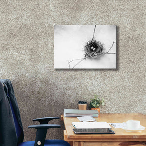'Nest and Branch IV' by Debra Van Swearingen, Canvas Wall Art,26 x 18