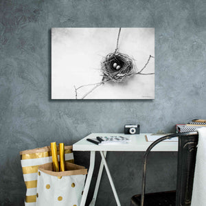 'Nest and Branch IV' by Debra Van Swearingen, Canvas Wall Art,26 x 18