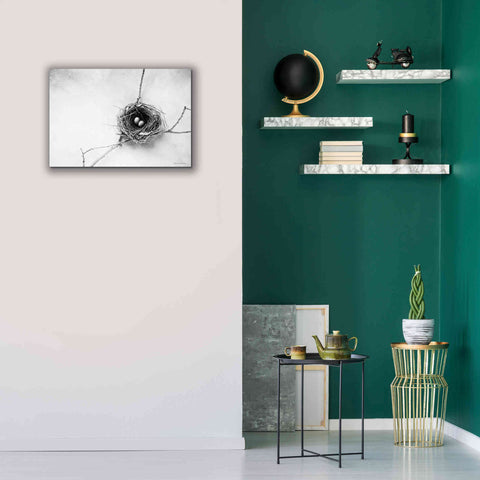 Image of 'Nest and Branch IV' by Debra Van Swearingen, Canvas Wall Art,26 x 18
